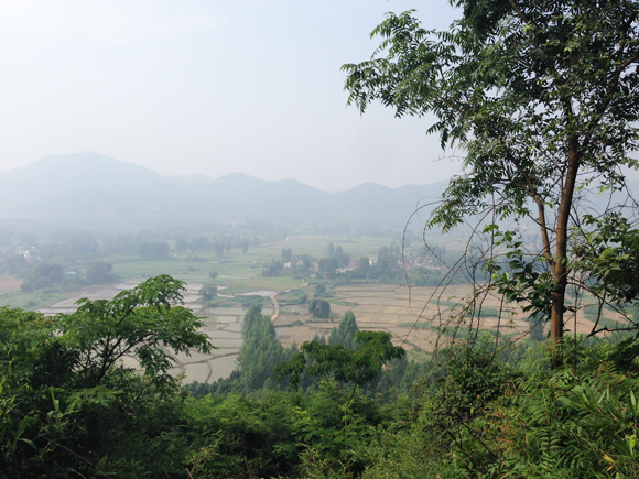 園林基地風(fēng)光