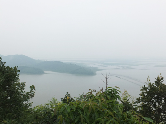 園林基地風(fēng)光