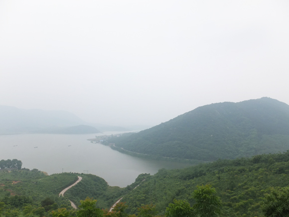 園林基地風(fēng)光