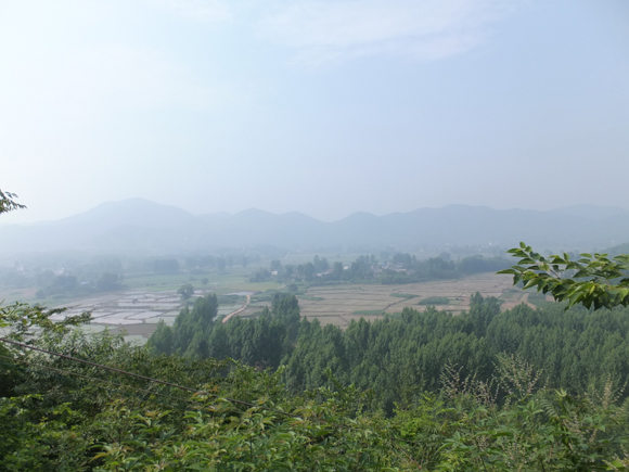 園林基地風(fēng)光